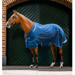 Cubretransporte Horseware Signature Travel Cooler