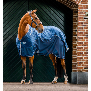 Cubretransporte Horseware Signature Travel Cooler Cubretransporte Horseware Signature Travel Cooler