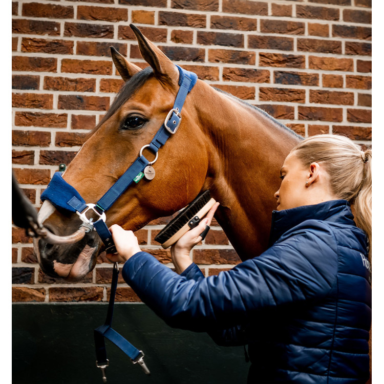 Cabezada Horseware de limpieza Signature Cabezada Horseware de limpieza Signature