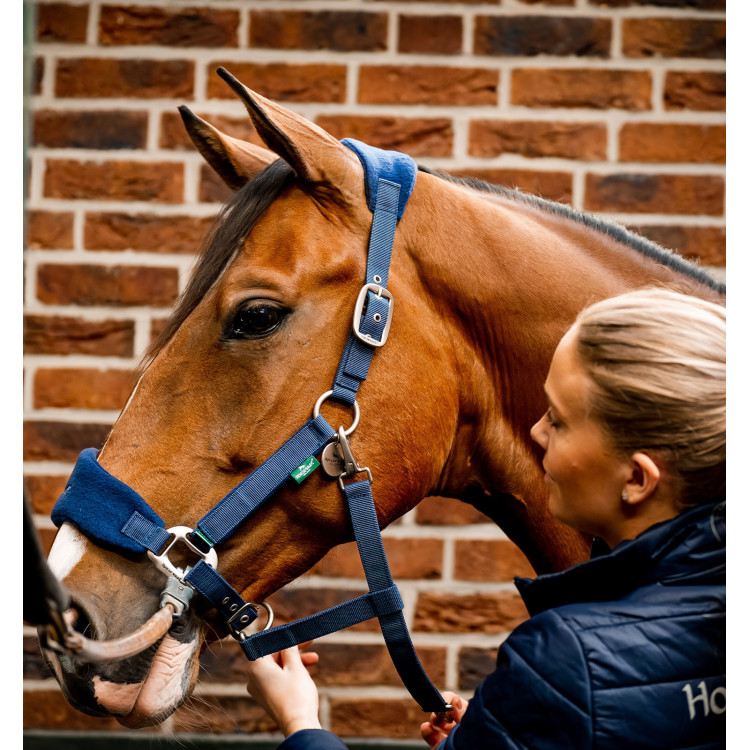 Cabezada Horseware de limpieza Signature Cabezada Horseware de limpieza Signature
