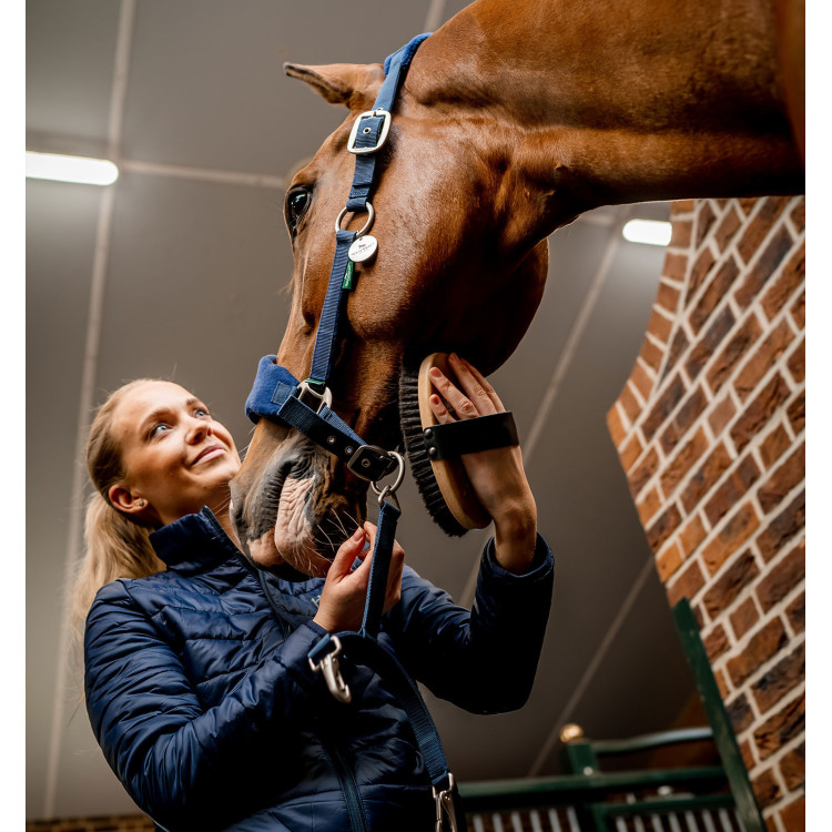 Cabezada Horseware de limpieza Signature Cabezada Horseware de limpieza Signature