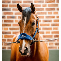 Cabezada Horseware de limpieza Signature Marino Azul marino Cabezada Horseware de limpieza Signature Marino Azul marino