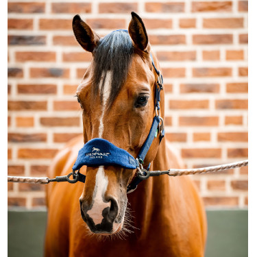 Cabezada Horseware de limpieza Signature Cabezada Horseware de limpieza Signature