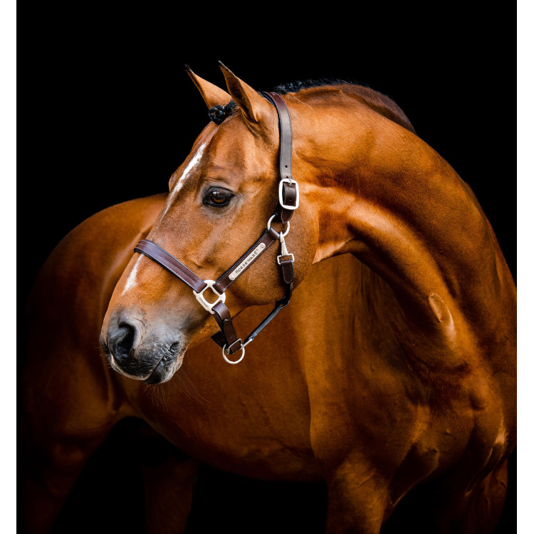 Cabezada de cuero Horseware Signature