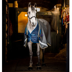 Cobertura Horseware Amigo 1200D Plus Turnout Bundle 50g 100g y 200g Sombra oscura / marino / rosa Gris Cobertura Horseware Amigo 1200D Plus Turnout Bundle 50g 100g y 200g Sombra oscura / marino / rosa Gris