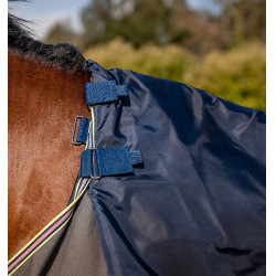 Cobertura Horseware Amigo 1200D Plus Turnout Bundle 50g 100g y 200g Sombra oscura / marino / rosa Gris Cobertura Horseware Amigo 1200D Plus Turnout Bundle 50g 100g y 200g Sombra oscura / marino / rosa Gris