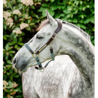 Cabezada Horseware trenzada Signature Marrón / marino / bruma azul Multicolor