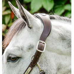 Cabezada Horseware trenzada Signature Marrón / marino / bruma azul Multicolor