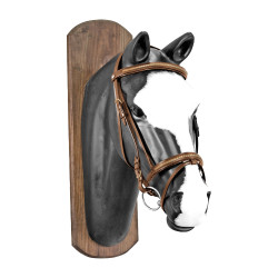 Filete Derby con tachuela dorada y riendas de goma Coñac Marrón