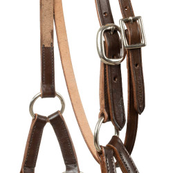 Filete sin embocadura con cabezada decorada con perlas de colores Pool's Marrón oscuro Marrón Filete sin embocadura con cabezada decorada con perlas de colores Pool's Marrón oscuro Marrón