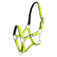 Cabezada para potro de cuero acolchado de tacto suave con doble ajuste Supreme Limón