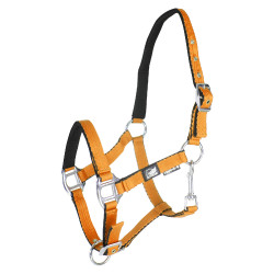 new Naranja