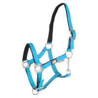Cabezada para potro de cuero acolchado de tacto suave con doble ajuste Supreme Turquesa Azul
