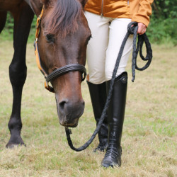 Botas Pénélope Eclipse