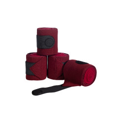 Bandas polares HKM Combo