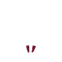 Calcetines LeMieux Fluffy personaje Razzle Motifs Calcetines LeMieux Fluffy personaje Razzle Motifs