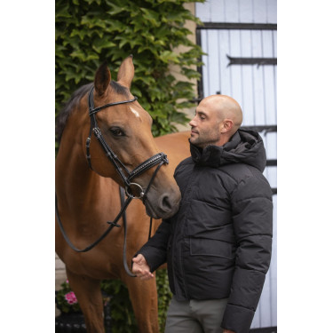 Chaqueta acolchada PADDOCK Auteuil Chaqueta acolchada PADDOCK Auteuil