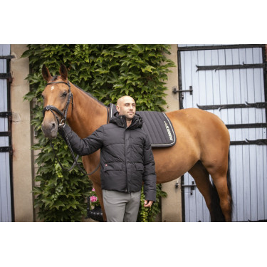 Chaqueta acolchada PADDOCK Auteuil Chaqueta acolchada PADDOCK Auteuil