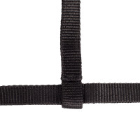 Cabezada potro Horze Spirit Negro