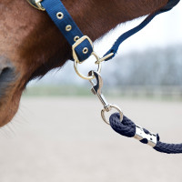 Ramal Horze Supreme con mosqueton Azul real