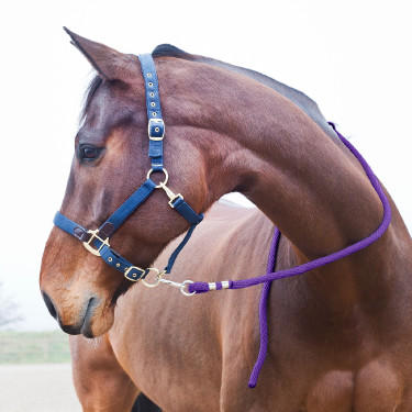 Longe Horze Supreme, mosquetón Púrpura Violeta