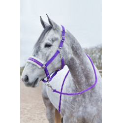 Ramal Howard Crescendo Horze Púrpura Violeta