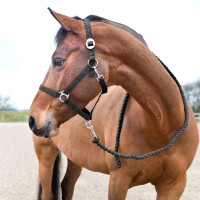 Ramal Horze Basic de algodón Frambuesa Rosa