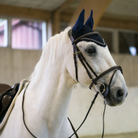 Orejeras Sam B vertigo Azul marino