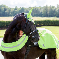 Collar reflectante Horze Collar reflectante Horze