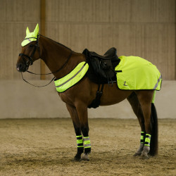 Collar reflectante Horze Collar reflectante Horze