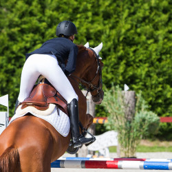 Botas altas Horze Winslow Negro