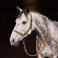 Conjunto de cabezada y ramal Chicago Horze Marrón / bronce