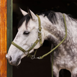 Conjunto de cabezada y ramal Chicago Horze Verde ciprés / verde loden