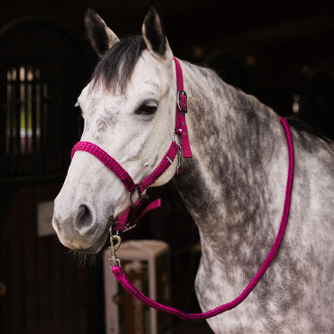Conjunto de cabezada y ramal Chicago Horze Burdeos / cuarzo violeta Conjunto de cabezada y ramal Chicago Horze Burdeos / cuarzo violeta