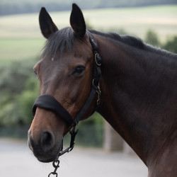 Cabezada de Cuadra Graz Horze Negro Cabezada de Cuadra Graz Horze Negro