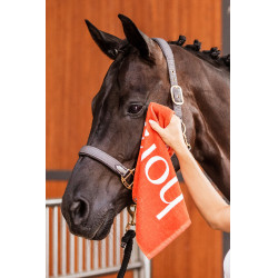 Toalla de manos Horze Naranja óxido