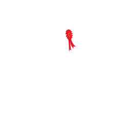 Lote de flotador Mini Poni LeMieux Lote de flotador Mini Poni LeMieux