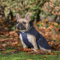 new Azúl marino / gris