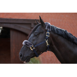 Halster Bucas Show-Line Halster Bucas Show-Line
