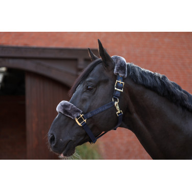 Halster Bucas Show-Line Halster Bucas Show-Line