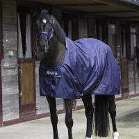 Camisa de cuadra Bucas Marino Azul marino
