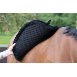 Mantilla LeMieux Merino+ Sensitive Skin Euro Jump Square Mantilla LeMieux Merino+ Sensitive Skin Euro Jump Square