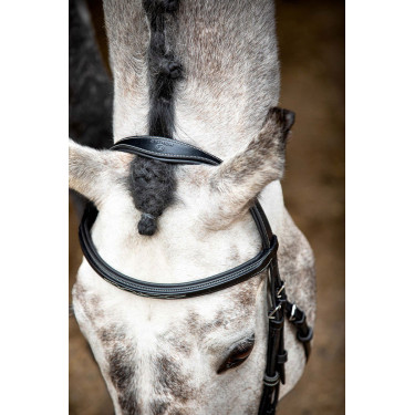 Brida Montar Hunter Brida Montar Hunter