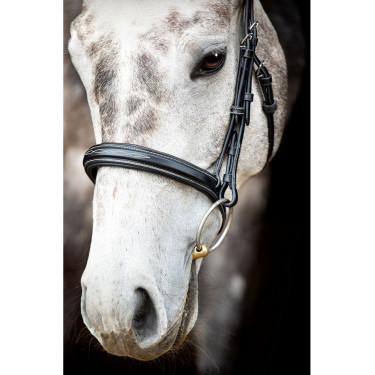 Brida Montar Hunter Brida Montar Hunter