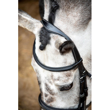 Brida Montar Hunter Brida Montar Hunter