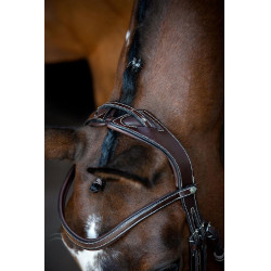 Brida Montar Monarch de cuero curtido de forma orgánica Castaño Marrón Brida Montar Monarch de cuero curtido de forma orgánica Castaño Marrón