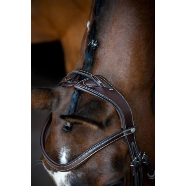 Brida Montar Monarch de cuero curtido de forma orgánica Castaño Marrón Brida Montar Monarch de cuero curtido de forma orgánica Castaño Marrón