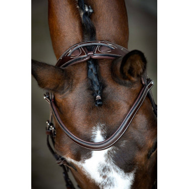 Brida Montar Monarch de cuero curtido de forma orgánica Castaño Marrón Brida Montar Monarch de cuero curtido de forma orgánica Castaño Marrón