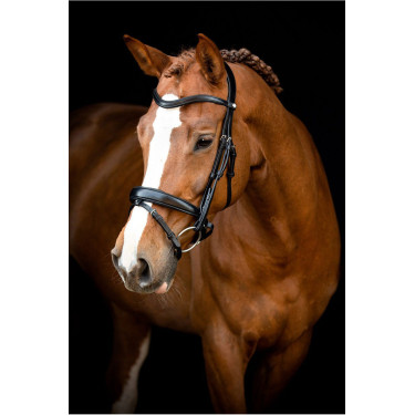 Brida Montar Normandie cuero curtido Brida Montar Normandie cuero curtido