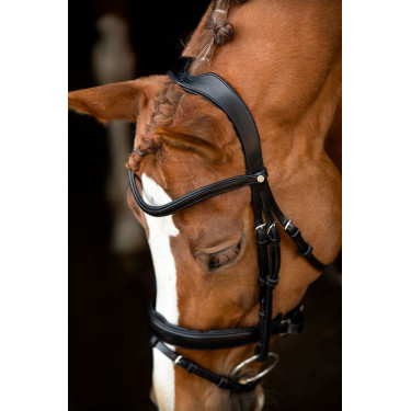 Brida Montar Normandie cuero curtido Brida Montar Normandie cuero curtido